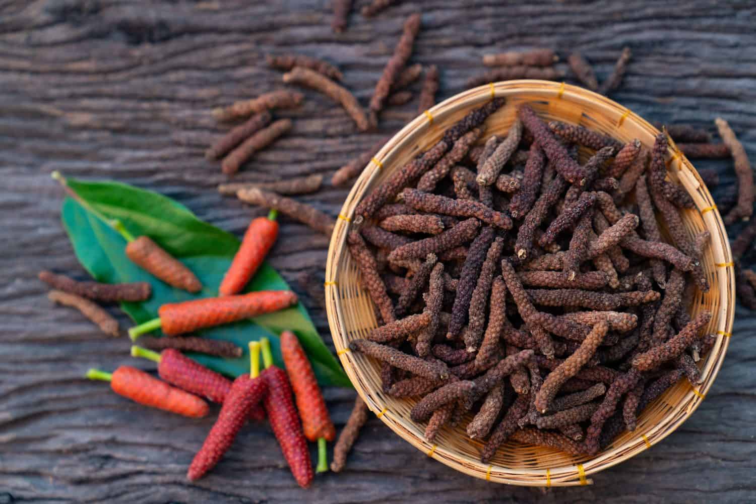 Long Pepper, Indian long pepper, Javanese long pepper (Piper retrofractum Vahl), spices and herbs with medicinal properties.