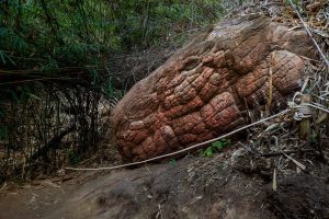 Discover the Snake Rock in Thailand – Is It Really a Massive Fossil? Picture