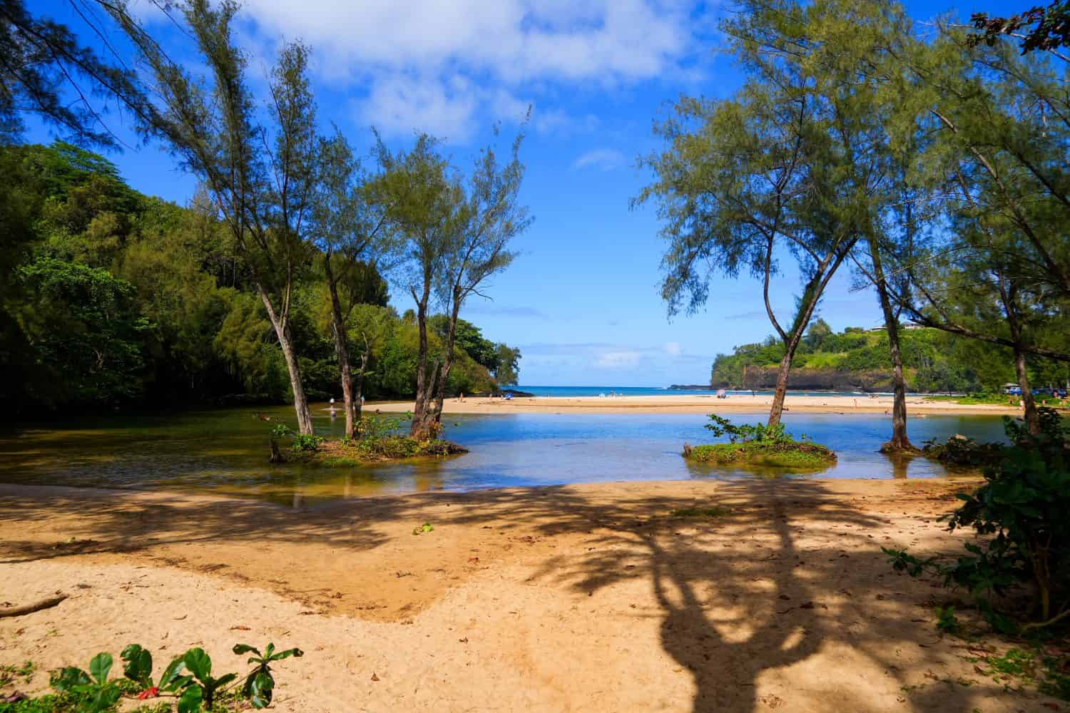 Freshwater lake on Kalihiwai Beach on the North Shore of Kauai island in Hawaii, United States