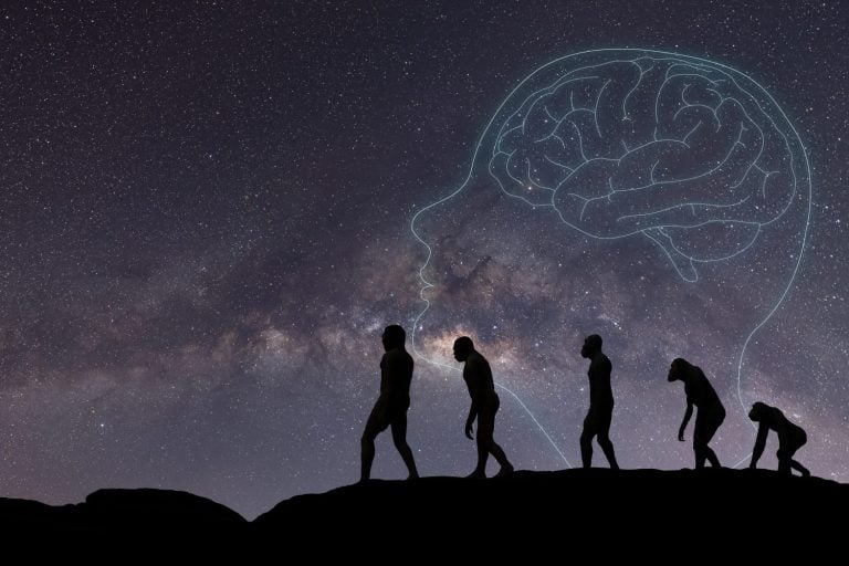 Human evolution, natural selection, from monkeys to modern humans. Anthropology and genetic heritage, against the background of the starry sky,milky way