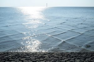 Causes of Square Waves in the Ocean (and are They Dangerous?) Picture