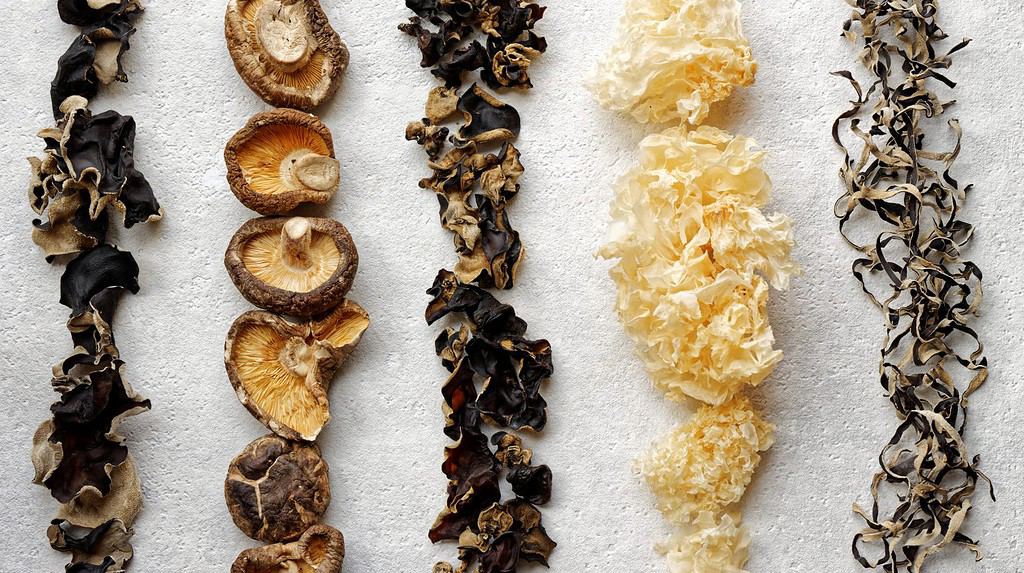 Different species of Asian dry fungi in lines. Assortment of dried mushrooms.