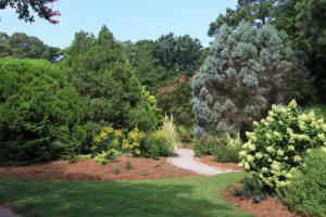 The 5 Best Botanical Gardens in Virginia Picture