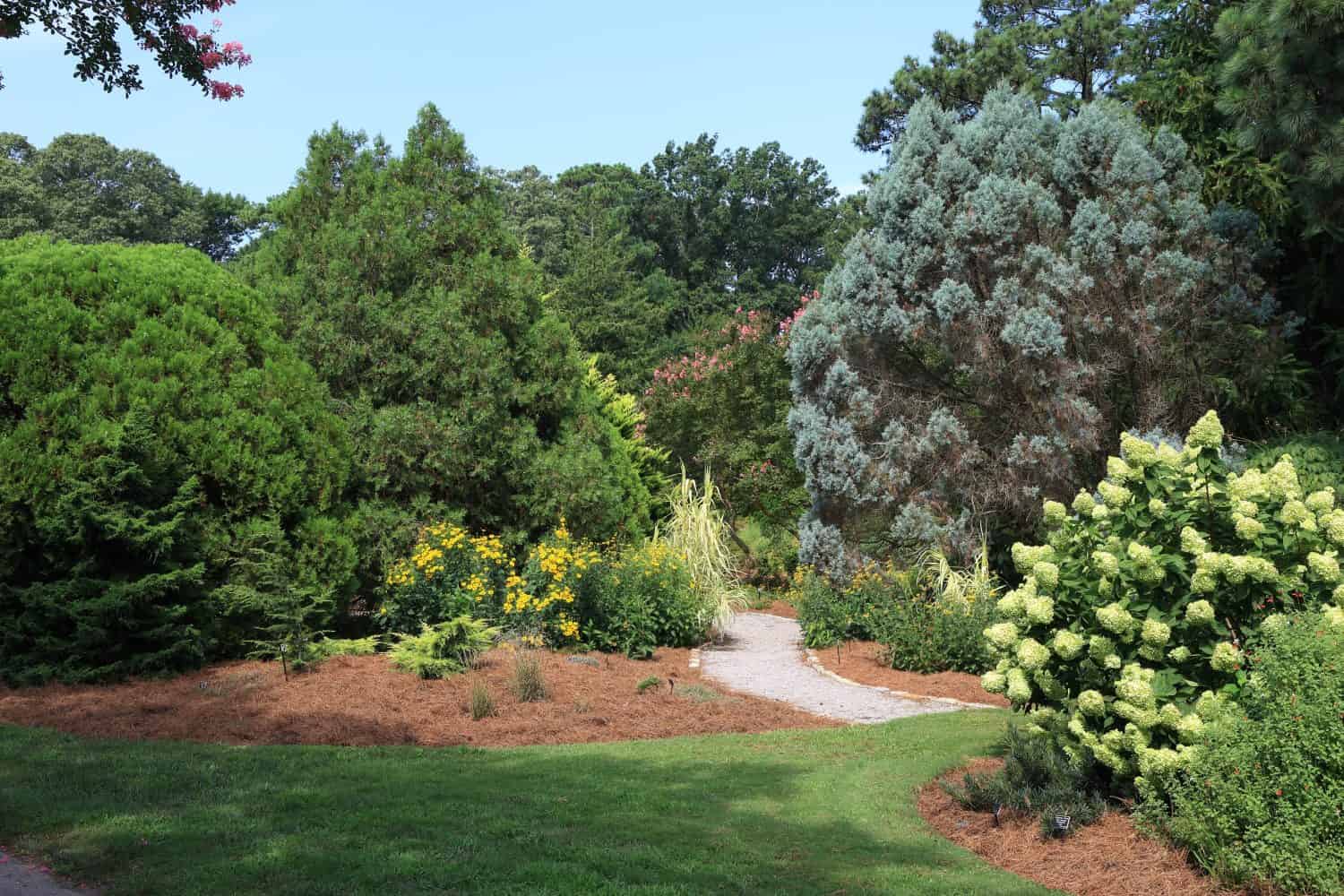 An inviting path in mid-summer at Norfolk Botanical Garden.