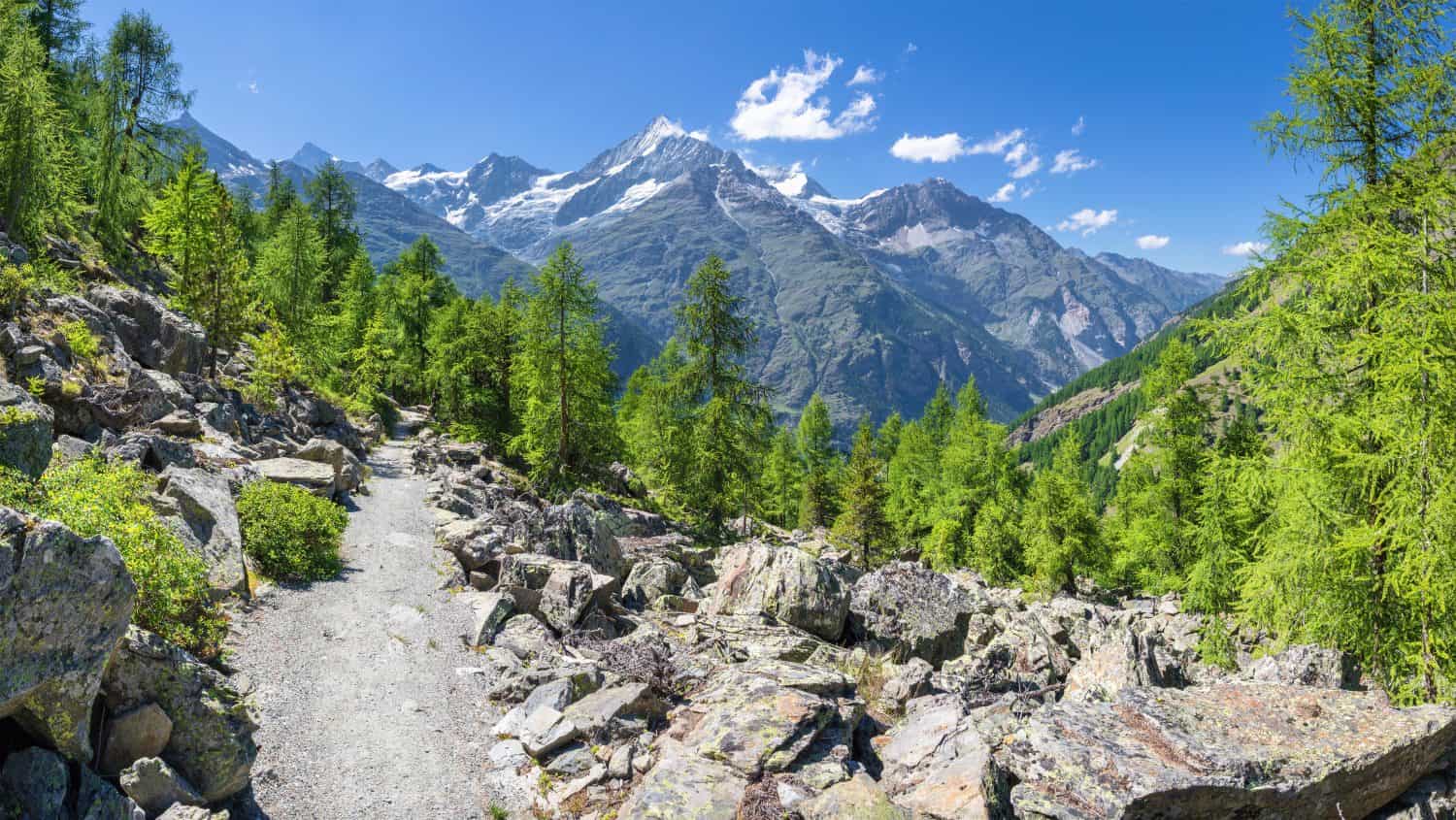 The Walliser alps peaks - Bishorn, Weisshorn, Schalihorn, and Rothorn over the Mattertal valley