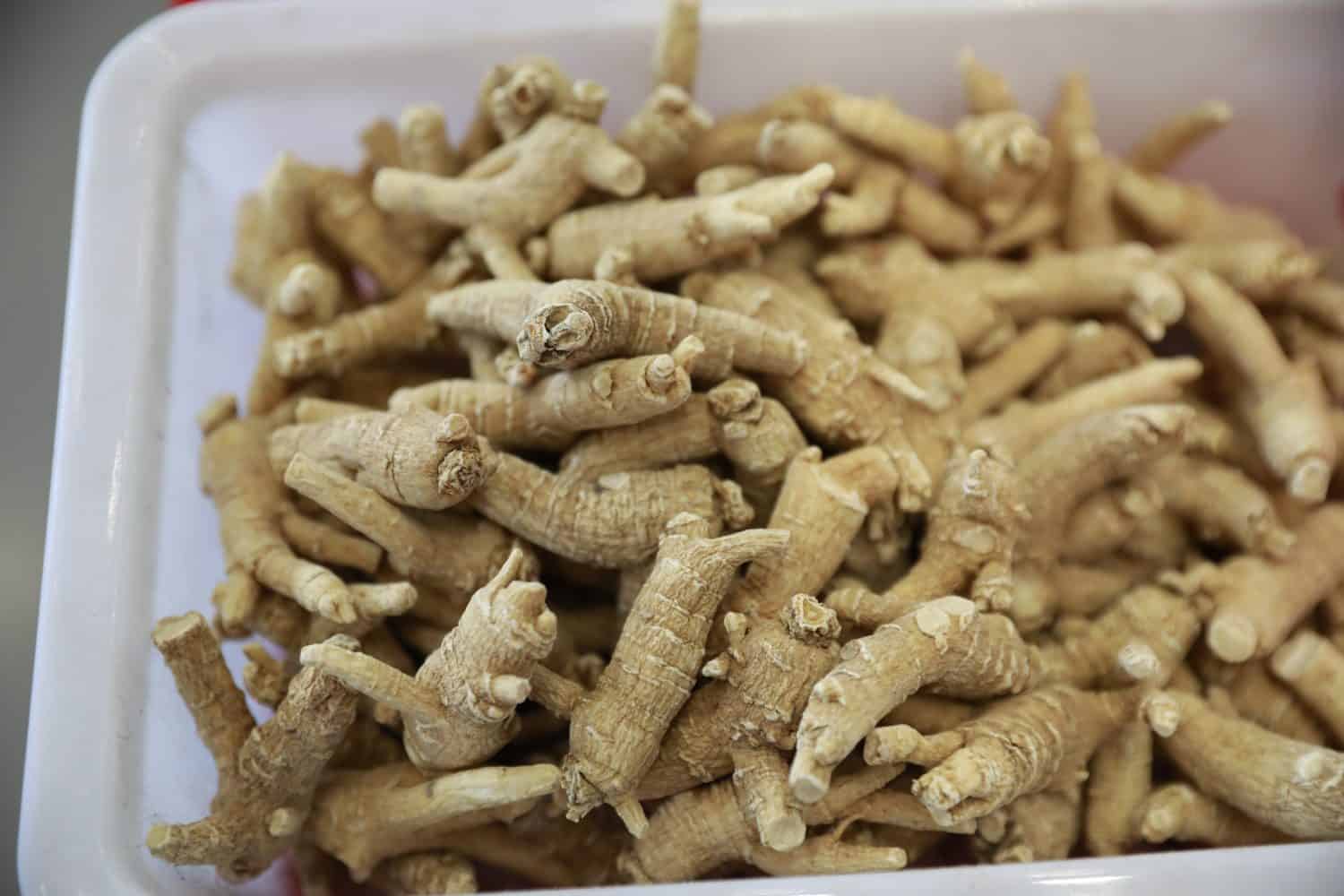 American ginseng is a traditional Chinese medicine.