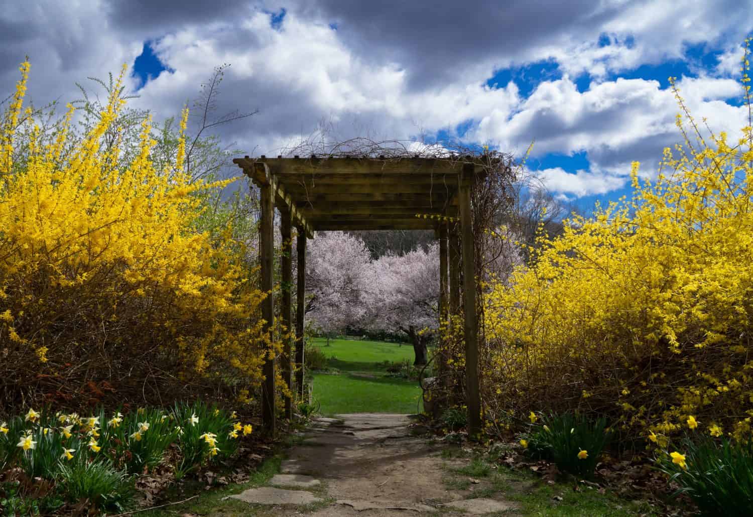 Spring flowers and beautiful skies paint beautiful landscape at the New Jersey Botanical Gardens. 