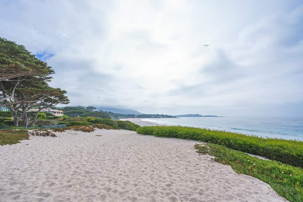 Carmel beach, a long, wide, white sand beach. Carmel Beach is one of the most iconic spots on California's Central Coast
