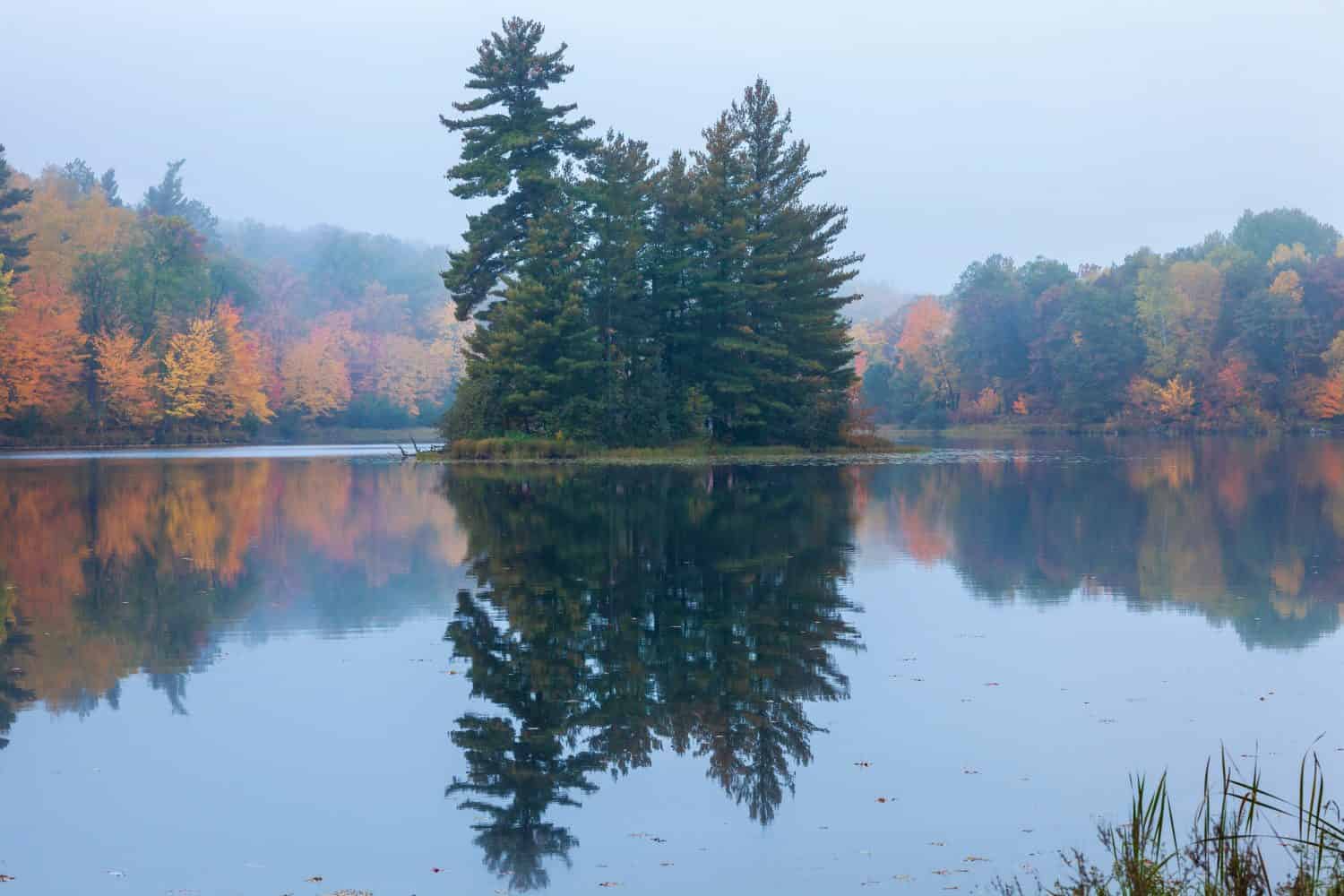 Calm lake and fog in northern Minnesota with trees in autumn color and pines on a small island