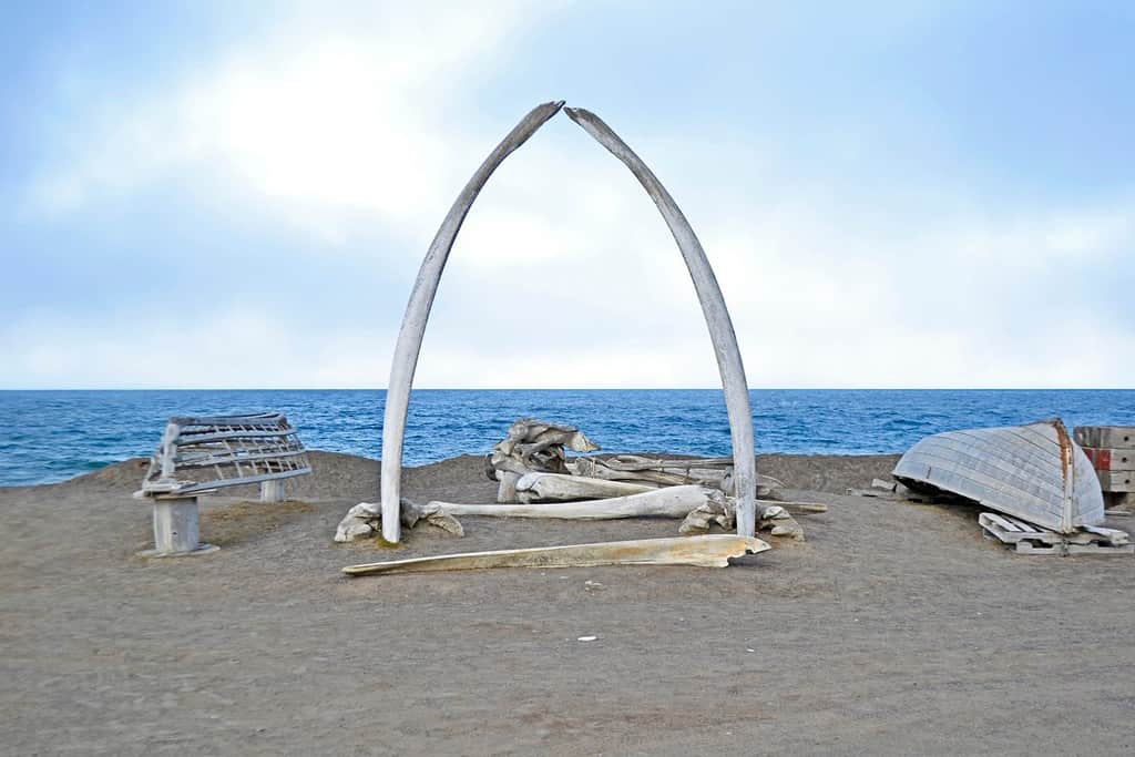 Whale bone arch in Utqiagvik, Alaska at the edge of the Arctic Ocean. Referred to as the "Gateway to the Arctic", it symbolizes the community's relationship to the sea and whaling.