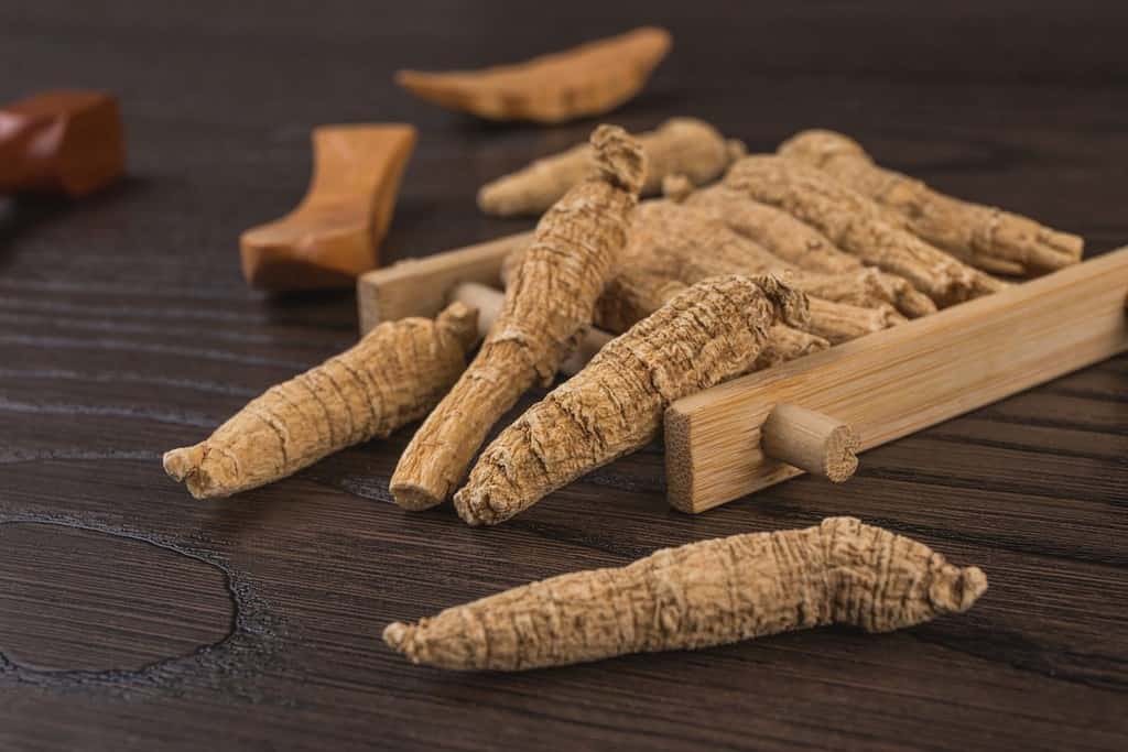 Ginseng Prices in 2024 Cost Per Pound and What to Expect When Buying