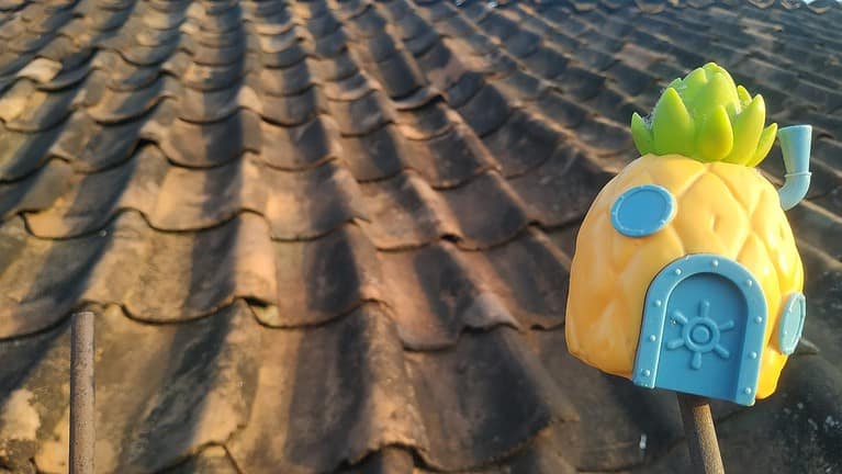 this pineapple-shaped house and yellow house is the house where SpongeBob lives in bikini bottom