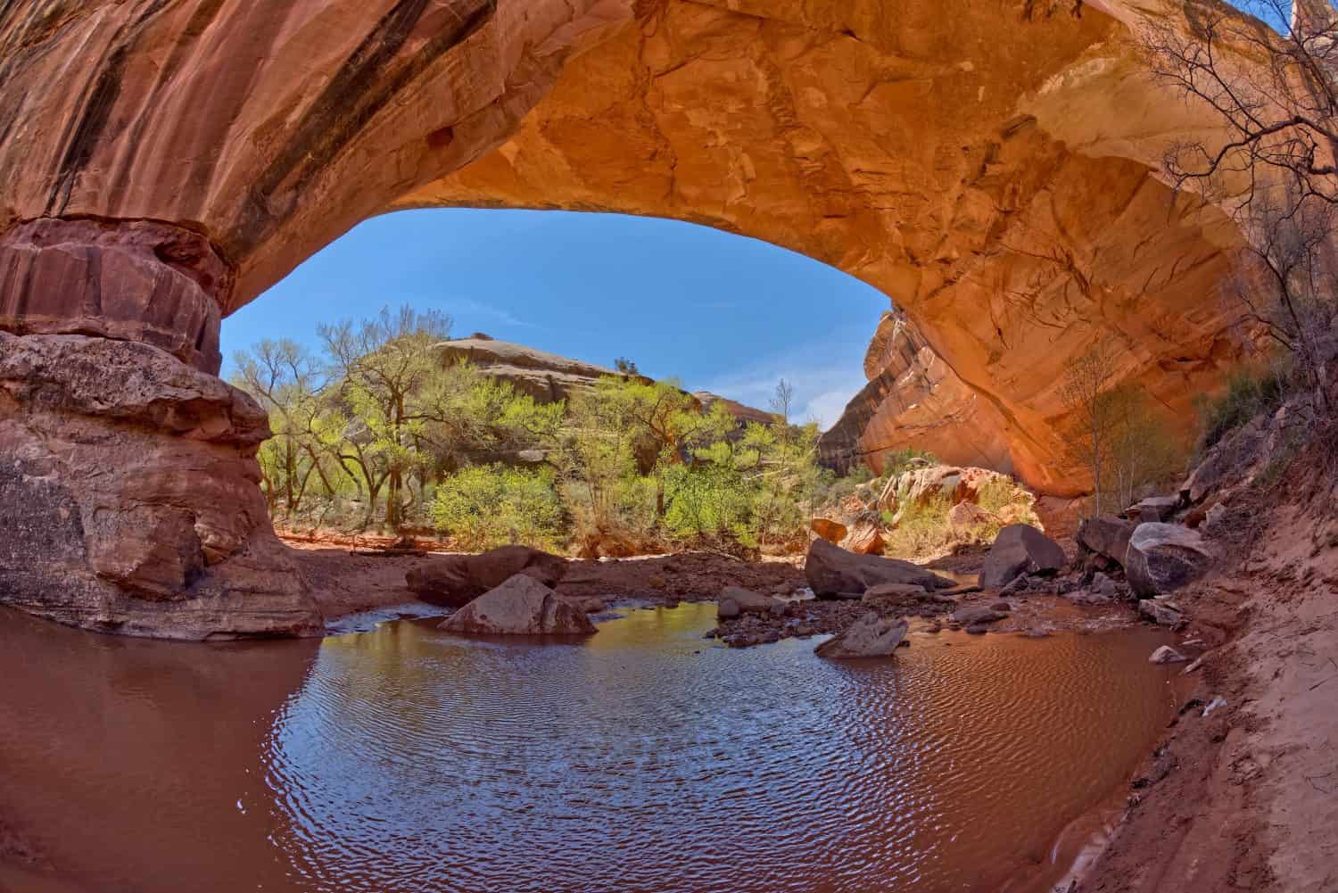 The Kachina Bridge at Natural Bridges National Monument Utah. It is named for the Hopi Kachina dancers.