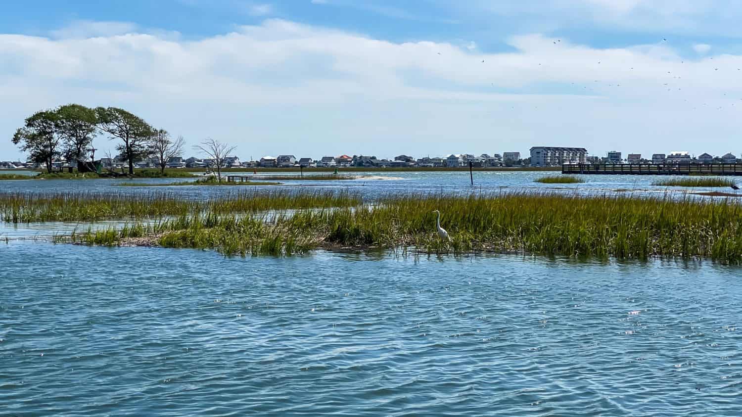 Murrell's Inlet in the summer in South Carolina