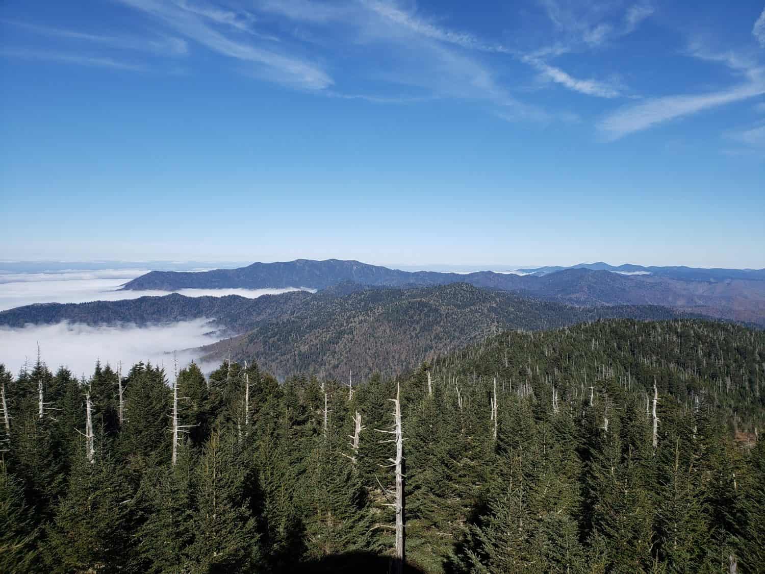 Looking north from Clingman's Dome to Mount Le Conte