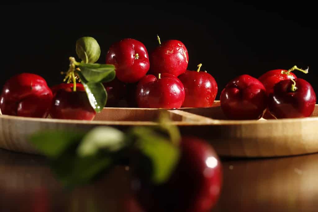 Barbados cherry (also known as Malpighia glabra, Surinam cherry, West Indian cherry or Acerola) is a tropical fruit-bearing shrub or small tree in the family Malpighiaceae.