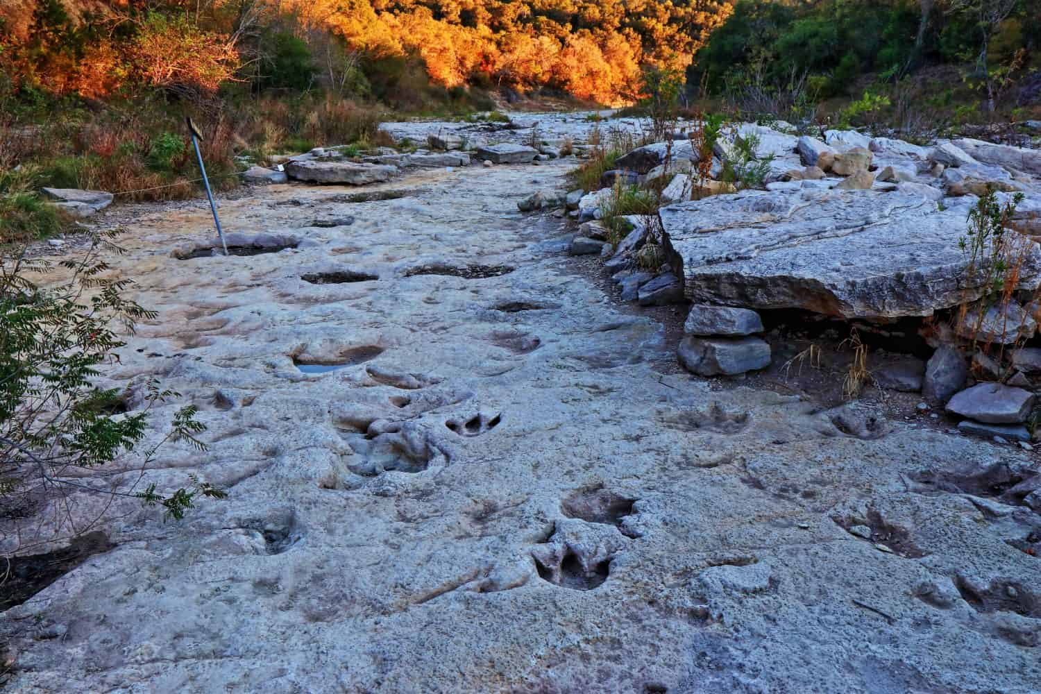 Fossilized dinosaur tracks in the dry Paluxy Riverbed at Dinosaur Valley State Park in Glen Rose, Texas