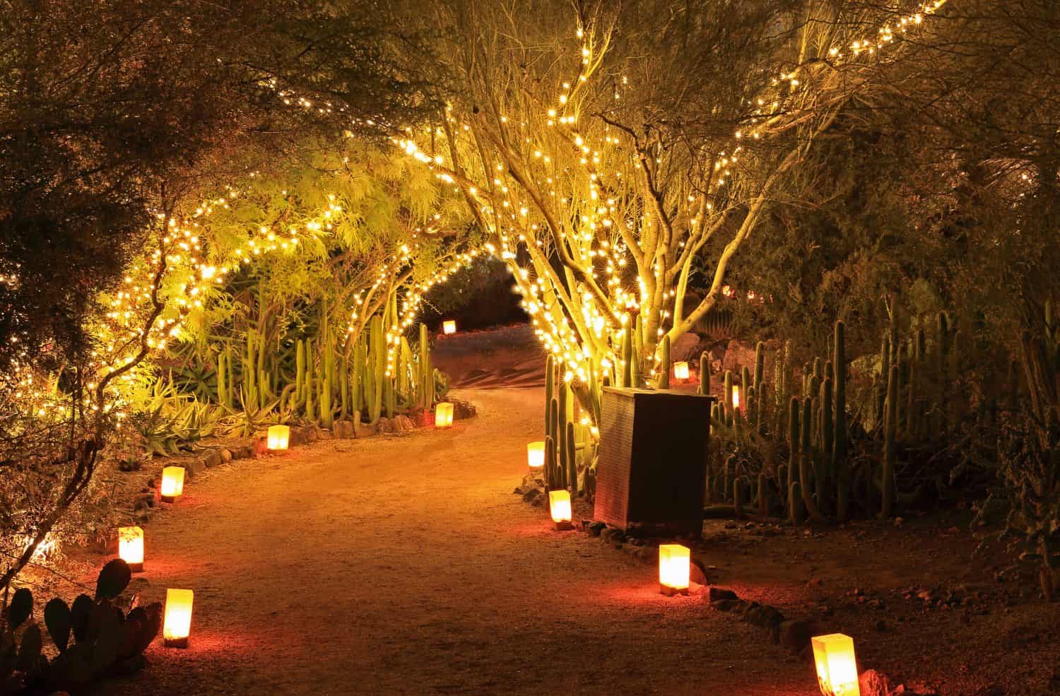Luminarias and tree lights create a festive Christmas atmosphere in this Southwestern garden night scene.