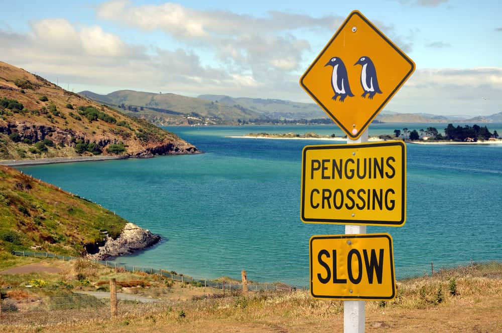 Road sign penguins crossing, Otago peninsula, New Zealand