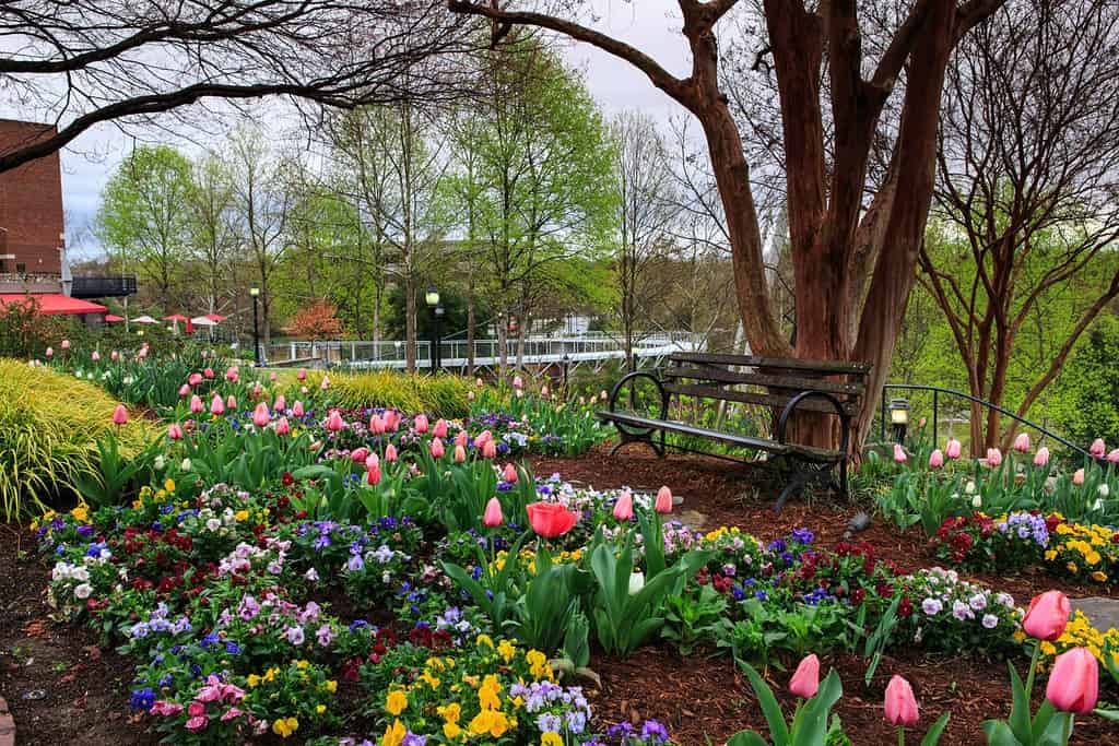 Garden at Falls Park on the Reedy River in downtown Greenville, South Carolina.