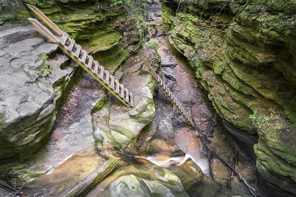 Ladders have been a part of the trail for decades in Bear Hollow at Indiana's Turkey Run State Park.