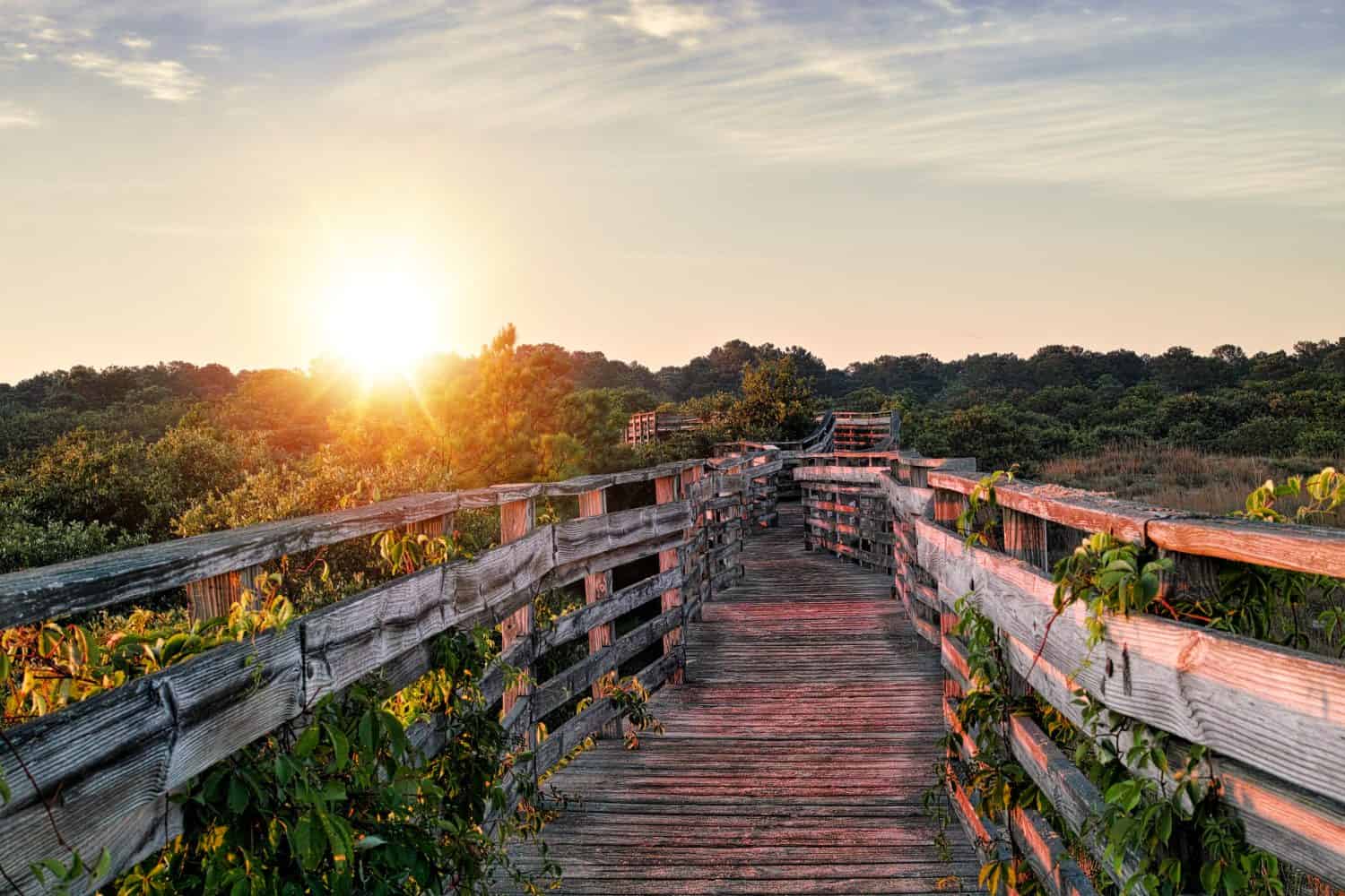 A photograph of a wooden boardwalk in Virginia Beach, Virginia at sunrise.