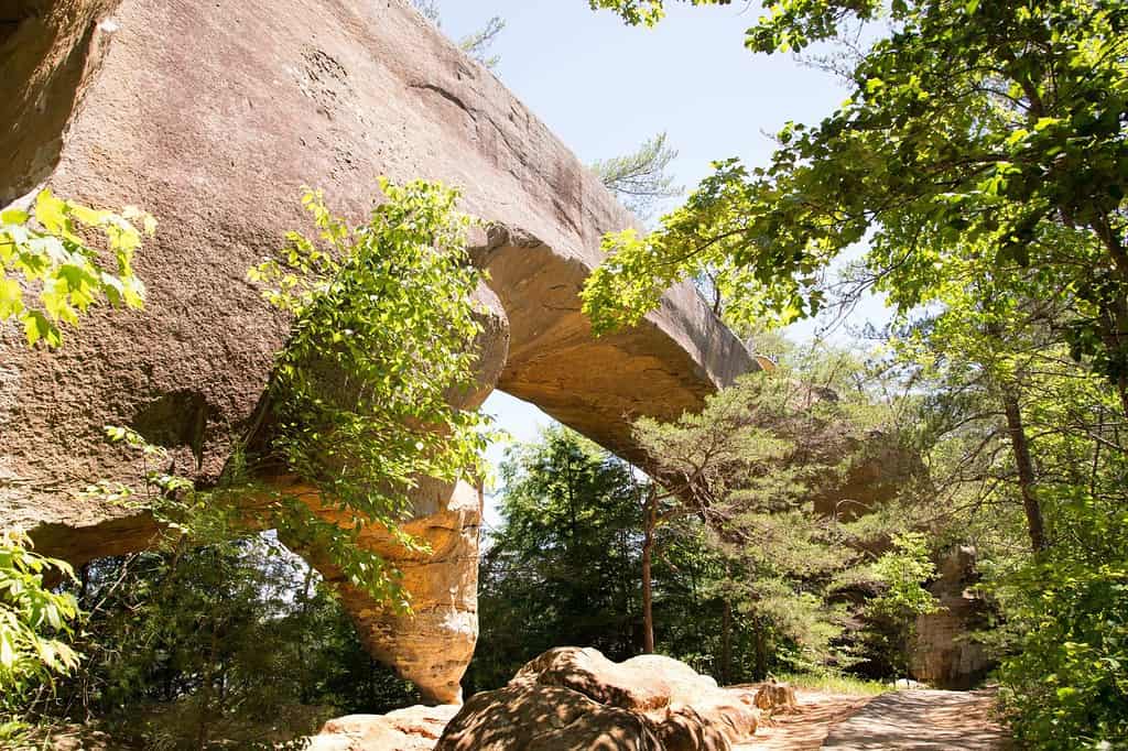 Sky Bridge is a sandstone arch in the Red River Gorge geological area.