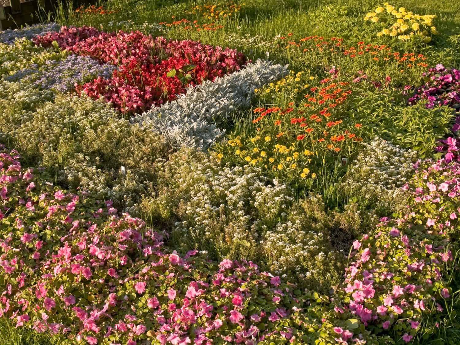 A colorful flower bed is part of Deep Cut Gardens, a Monmouth County, New Jersey park.