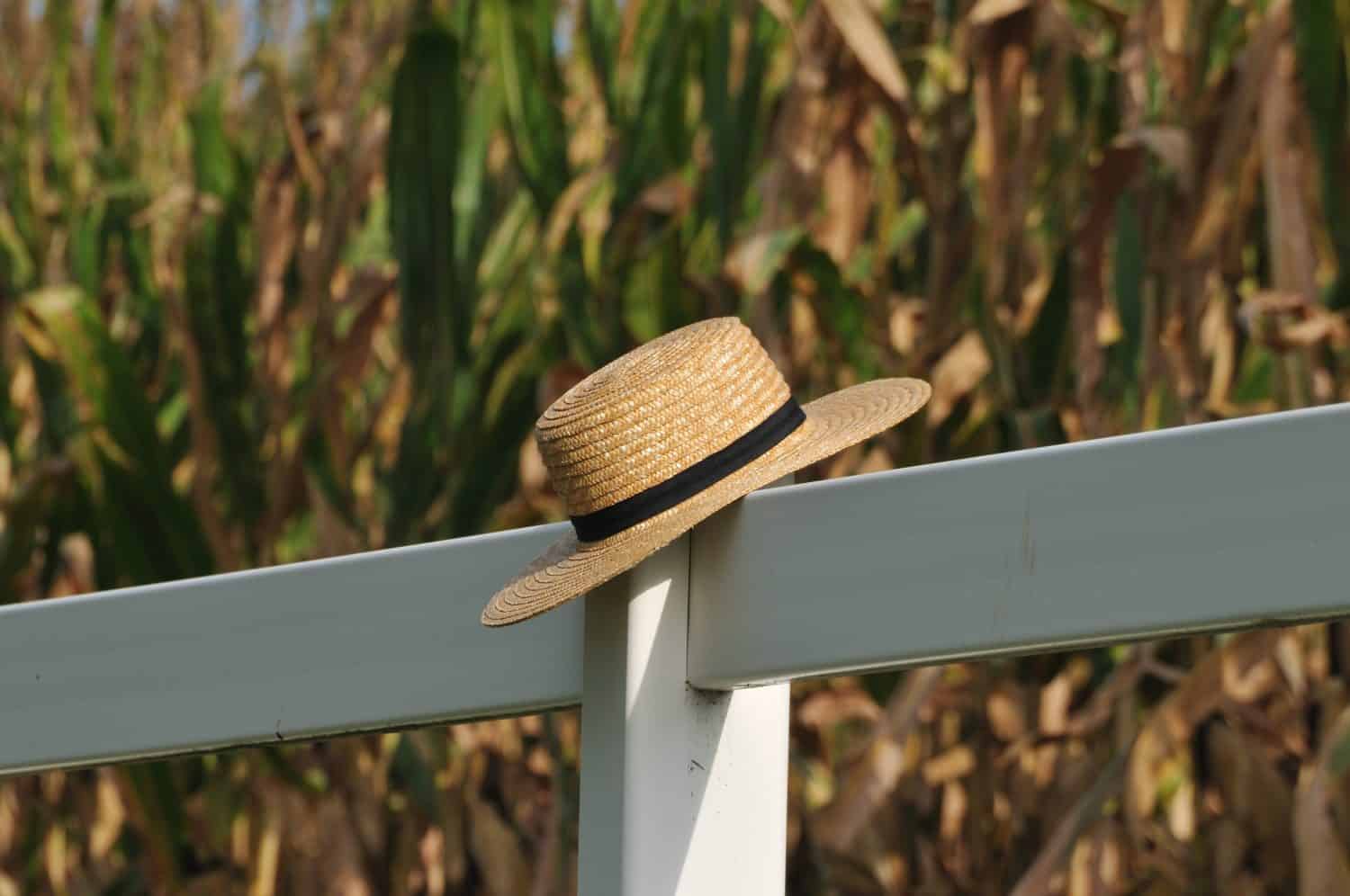 Over the fence