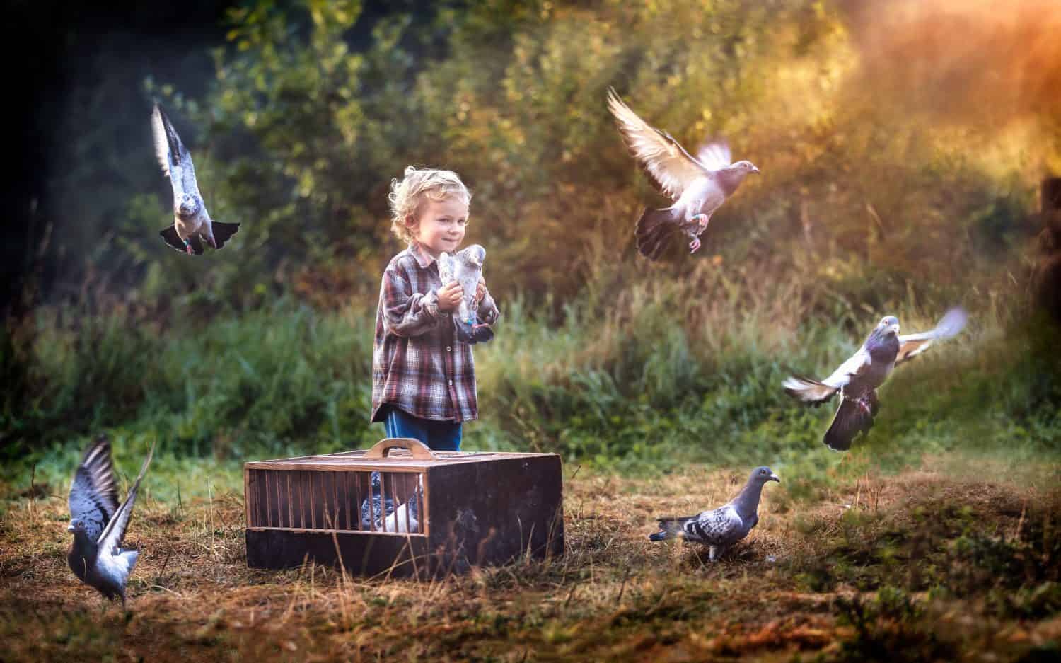Little pigeon fancier. Boy playing outdoor in autumn or spring scenery with flying pigeons.