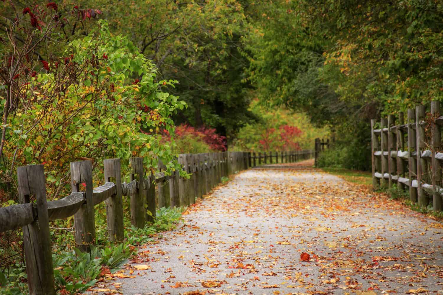 Autumn leaves on Blackstone River Bikeway in Cumberland, Rhode Island