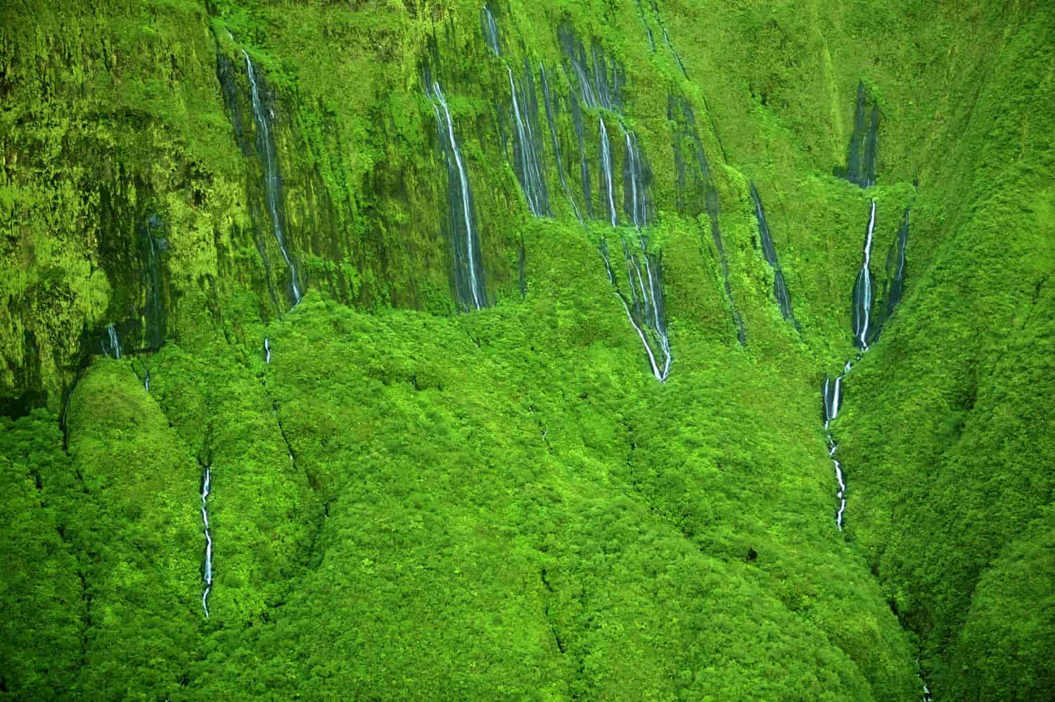 The 'Wall of Tears' has over 17 waterfalls flowing at once - Maui, Hawaii