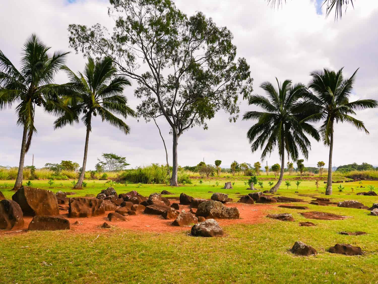 Ancient historical Kukaniloko Birthstones where royal women gave birth to Hawaiian chiefs, located on Oahu, Hawaii
