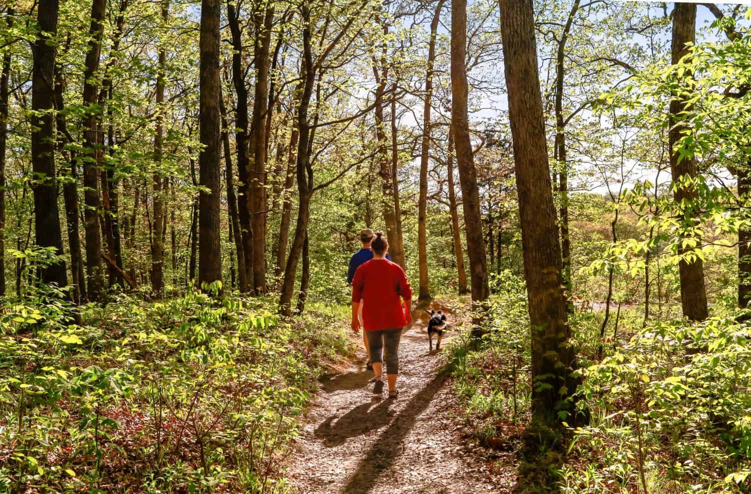 Overweight young woman and a young man taking a walk in the woods with their dog; Missouri State Park, Midwest