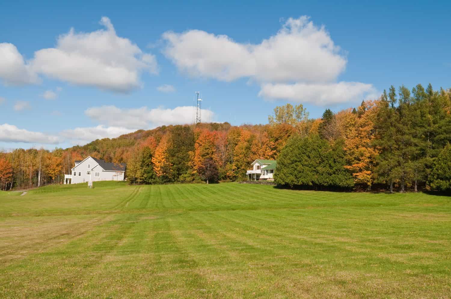 Field and woods in autumn, St. Albans, Vermont