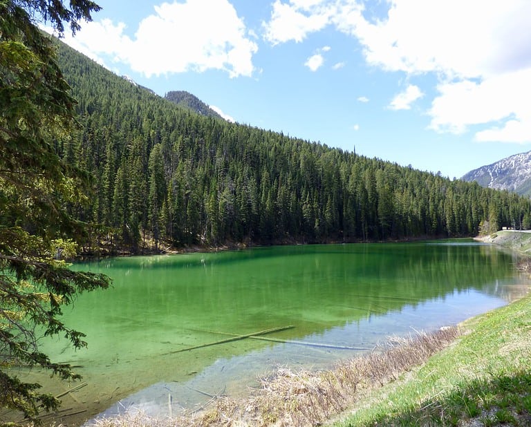 Olive Lake