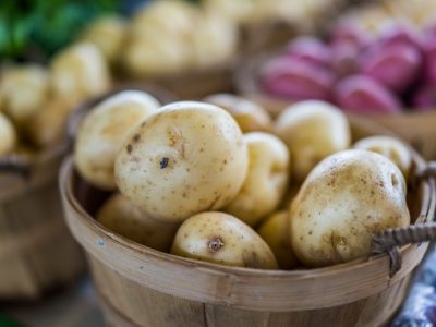 A Growing Potatoes In Missouri: Ideal Timing + 3 Important Tips