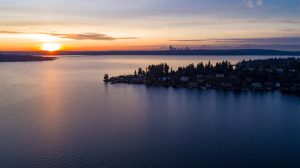 Discover 5 Amazing Fish Living in Lake Washington Picture