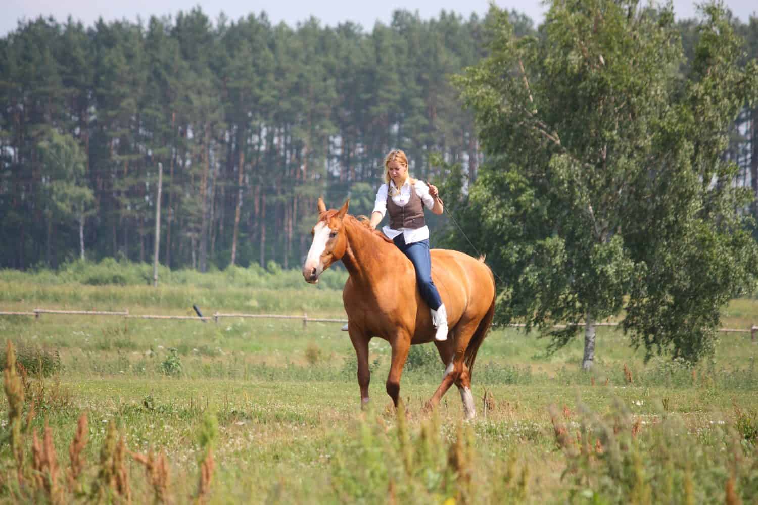 Beautiful blonde woman riding chestnut horse without saddle and bridle