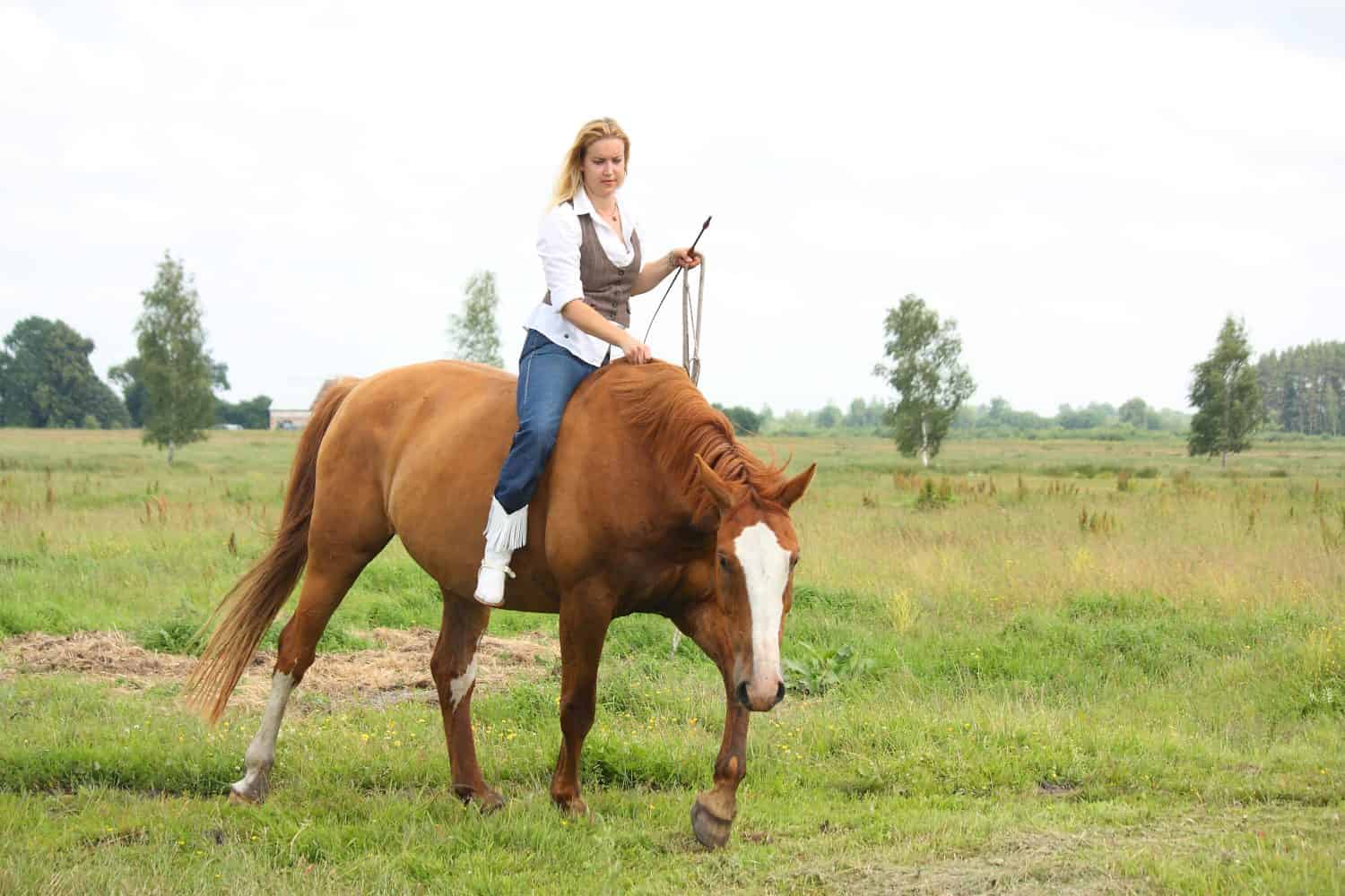 Woman sitting on chestnut horse without saddle and bridle at the field