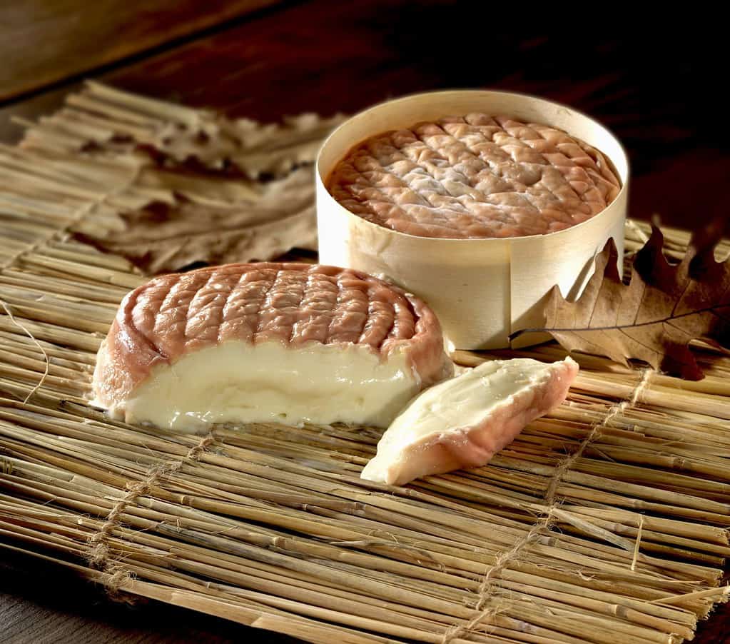 Discover 15 Cheeses That Start with E AZ Animals