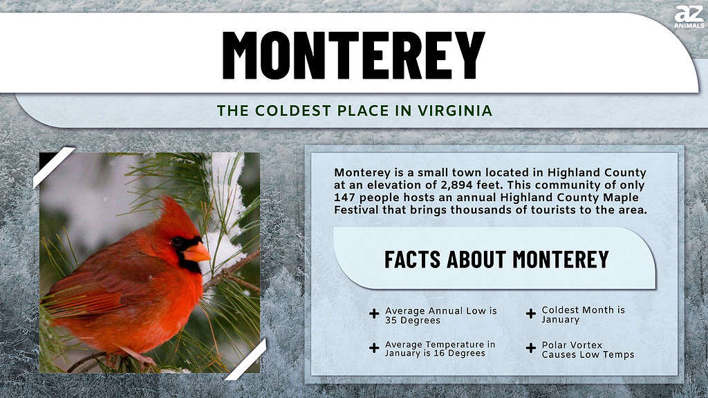 Monterey, the Coldest Place in Virginia