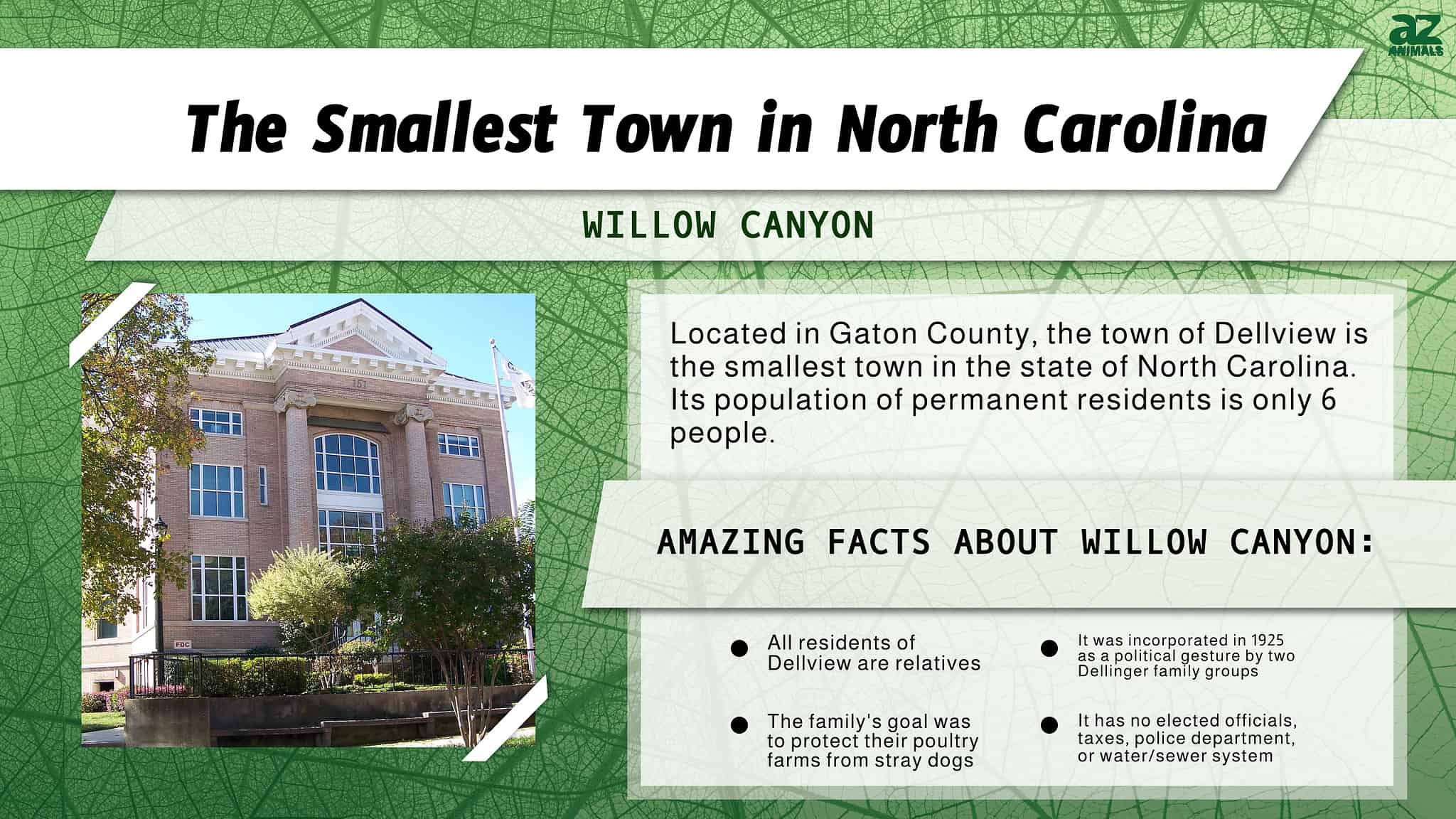 Discover the Smallest Town in North Carolina - Everyone Could Fit In an ...