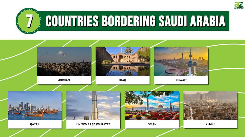 The 7 Countries Bordering Saudi Arabia in 2024 - A-Z Animals