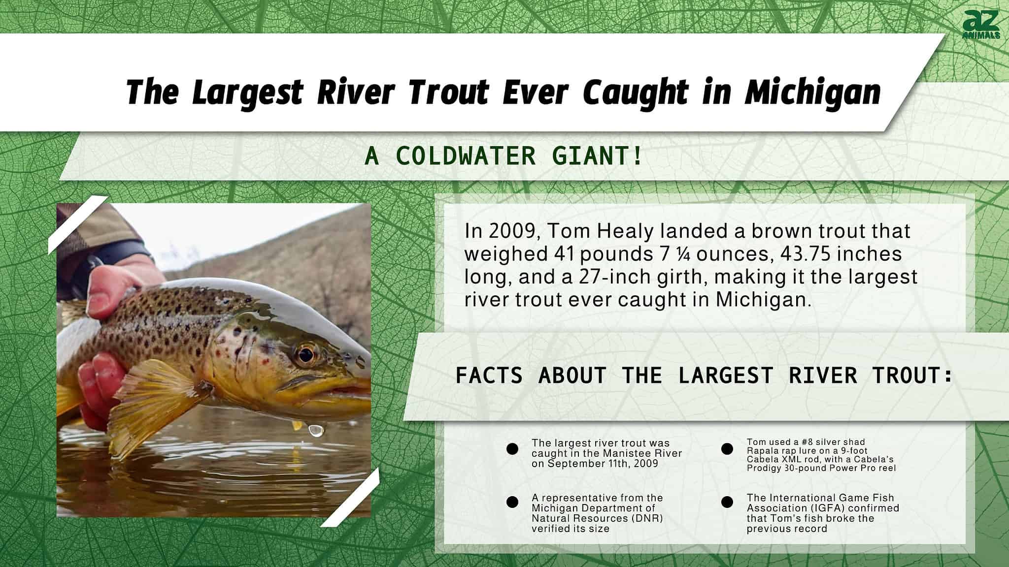 The Largest River Trout Ever Caught in Michigan was a Cold-Water Giant ...