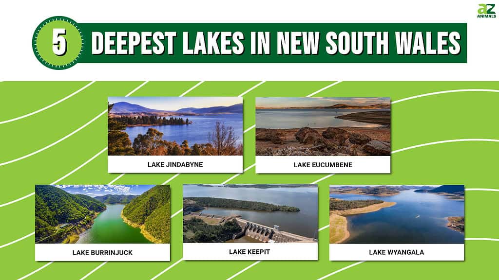 Discover Some of the Deepest Lakes in New South Wales - A-Z Animals