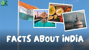 30 Incredible Facts That Make India Like No Other Place in the World Picture