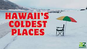 These Are the #5 Coldest Places in Hawaii Picture