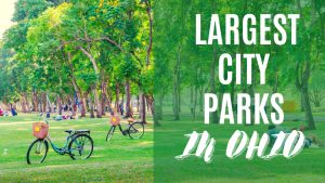 Discover the 10 Largest City Parks in Ohio Picture