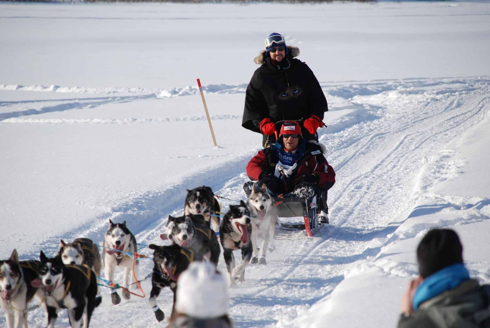 Sled Dogs Норвегия